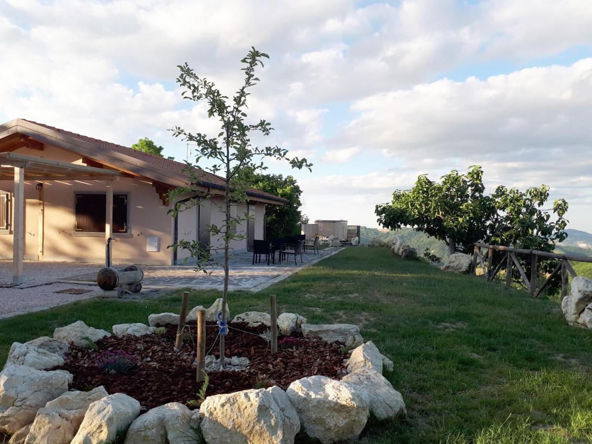 Agriturismo Il Pagliaio Mercato Saraceno Eksteriør billede